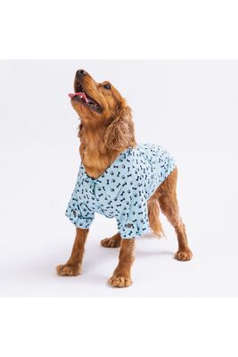 Pawstar - Mavi Ossa Kedi Köpek Gömleği - Kedi Köpek Kıyafeti L