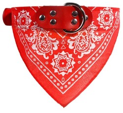 Miapet Kedi-Köpek Fularlı Boyun Tasması Kırmızı 2,5x50cm - Thumbnail