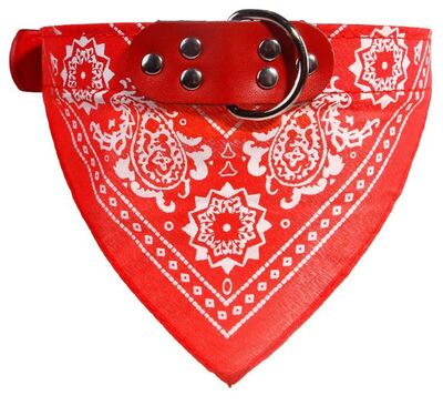 Miapet - Miapet Kedi-Köpek Fularlı Boyun Tasması Kırmızı 2,5x50cm