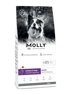 Molly - Molly Medium Adult Kuzu Etli & Yaban Mersinli Orta ve Büyük Irk Yetişkin Köpek Maması 2 Kg