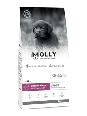 Molly - Molly Medium Puppy Kuzu Etli & Yaban Mersinli Orta ve Büyük Irk Yavru Köpek Maması 2 Kg