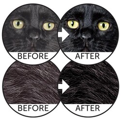 Natures Prodection Dark Cats Grain Koyu Renk Kediler İçin Ringa Balıklı Yetişkin Kedi Maması 1,5 Kg - Thumbnail