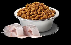 N&D Tahılsız Yetişkin Mini Beyaz Irk Köpekler İçin Tam Mama Suprilinalı Rezene ve Kurutulmuş Levrek - Thumbnail