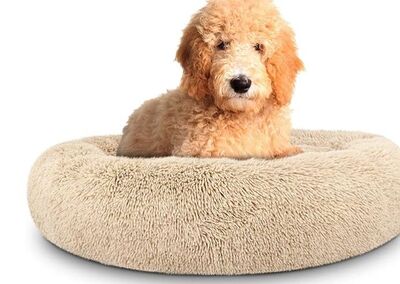 PAKEWAY - PAKEWAY Donut Ponçik Kedi Köpek Yatağı Bej 40 Cm