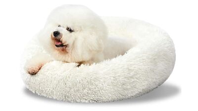 PAKEWAY - PAKEWAY Donut Ponçik Kedi Köpek Yatağı Beyaz 50 Cm