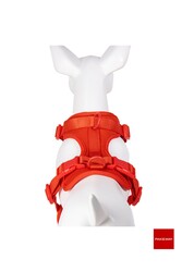 PAKEWAY Fancy 4 Parça Köpek Gezdirme Seti - Large - Kırmızı - Thumbnail