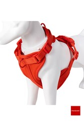 PAKEWAY Fancy 4 Parça Köpek Gezdirme Seti - Small - Kırmızı - Thumbnail