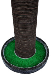 Palmiye Kedi Tırmalaması - Thumbnail