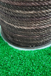 Palmiye Kedi Tırmalaması - Thumbnail