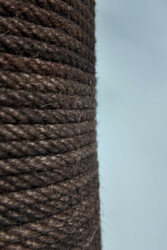 Palmiye Kedi Tırmalaması - Thumbnail