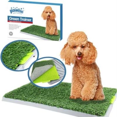 Pawise - Pawise Green Trainer Köpek Çiş Eğitimi Yapay Çimli Tuvalet Kabı 43x68 cm