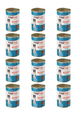 Pawmas - Pawmas Somonlu Yetişkin Köpek Konservesi 400 gr X 12 Adet