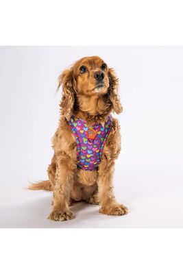 Pawstar - Pawstar Air-mesh Hearts Köpek Göğüs Tasması XSmall