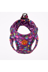 Pawstar Air-mesh Hearts Köpek Göğüs Tasması XSmall - Thumbnail