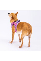 Pawstar Air-mesh Rosea Camouflage Köpek Göğüs Tasması XSmall - Thumbnail