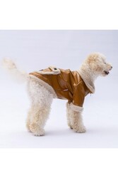 Pawstar amel Vegas Ceket Kedi Köpek Ceketi Kedi Köpek Kıyafeti Kedi Köpek Elbisesi XL - Thumbnail