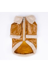 Pawstar amel Vegas Ceket Kedi Köpek Ceketi Kedi Köpek Kıyafeti Kedi Köpek Elbisesi XL - Thumbnail