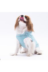 Pawstar Aqua Sunny Kapşonlu Kedi Köpek Tişörtü - Kedi Köpek Kıyafeti XL - Thumbnail