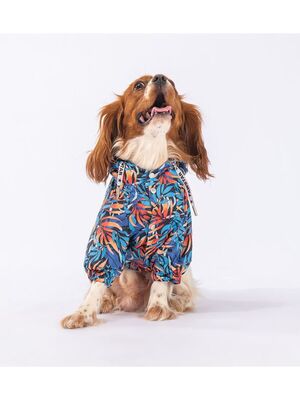 Pawstar - Pawstar Autumna Polarlı Köpek Montu Köpek Yağmurluk Köpek Kıyafeti Köpek Elbisesi M