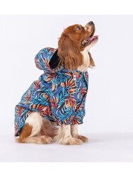 Pawstar Autumna Polarlı Köpek Montu Köpek Yağmurluk Köpek Kıyafeti Köpek Elbisesi XL - Thumbnail