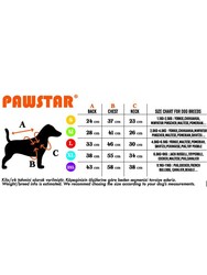 Pawstar Autumna Polarlı Köpek Montu Köpek Yağmurluk Köpek Kıyafeti Köpek Elbisesi XL - Thumbnail