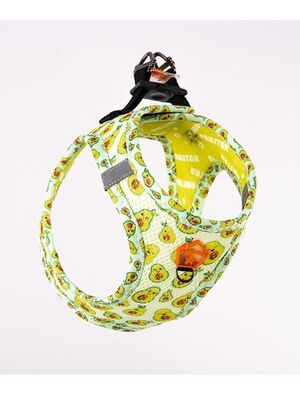 Pawstar - Pawstar Avocado Air-mesh Göğüs Tasması Kedi Köpek Göğüs Tasması XLarge