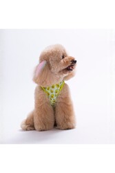Pawstar Avocado Kedi Köpek T-Shirt S - Thumbnail