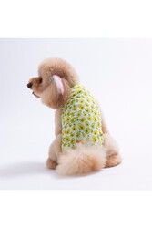 Pawstar Avocado Kedi Köpek T-Shirt XL - Thumbnail