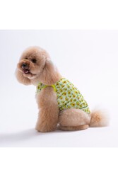Pawstar Avocado Kedi Köpek T-Shirt XL - Thumbnail