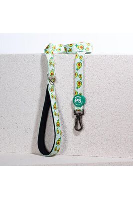 Pawstar - Pawstar Avocado Leash Kedi Köpek Sevk & Gezdirme Kayışı Köpek Uzatma Tasması 2x120 cm
