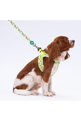 Pawstar Avocado Leash Kedi Köpek Sevk & Gezdirme Kayışı Köpek Uzatma Tasması 2x120 cm - Thumbnail