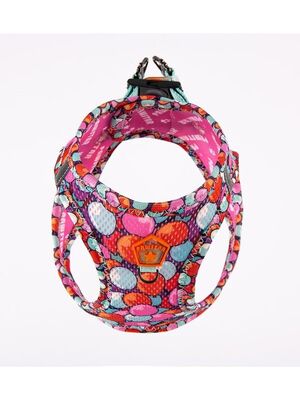 Pawstar - Pawstar Balloons Air-mesh Göğüs Tasması Kedi Köpek Göğüs Tasması Medium