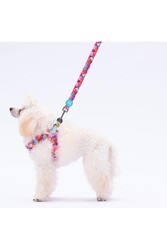 Pawstar Balloons Leash Kedi Köpek Sevk & Gezdirme Kayışı Köpek Uzatma Tasması 2x120 cm - Thumbnail