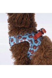 Pawstar Bears Air-mesh Göğüs Tasması Kedi Köpek Göğüs Tasması 3XS - Thumbnail