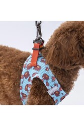 Pawstar Bears Air-mesh Göğüs Tasması Kedi Köpek Göğüs Tasması 3XS - Thumbnail