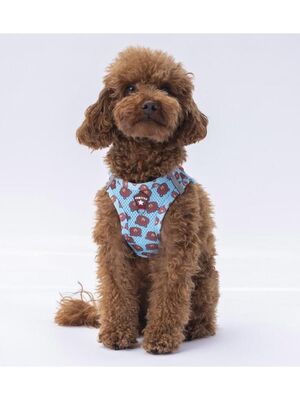 Pawstar - Pawstar Bears Air-mesh Göğüs Tasması Kedi Köpek Göğüs Tasması XLarge