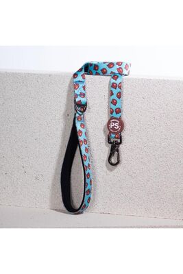 Pawstar - Pawstar Bears Leash Kedi Köpek Sevk & Gezdirme Kayışı Köpek Uzatma Tasması 2x120 cm