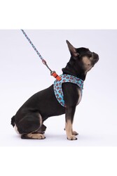 Pawstar Bears Leash Kedi Köpek Sevk & Gezdirme Kayışı Köpek Uzatma Tasması 2x120 cm - Thumbnail