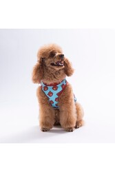  Pawstar Bears T-Shirt S - Thumbnail