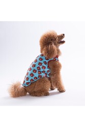  Pawstar Bears T-Shirt XL - Thumbnail