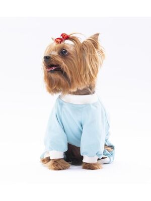Pawstar - Pawstar Bebe Mavi Giraffe Kedi Köpek Pijaması - Kedi Köpek Tulumu - Kedi Köpek Kıyafeti XL