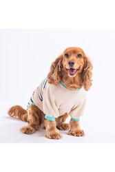 Pawstar Bej Dino Star Köpek Sweati Köpek Kıyafeti Kedi Kıyafeti L - Thumbnail