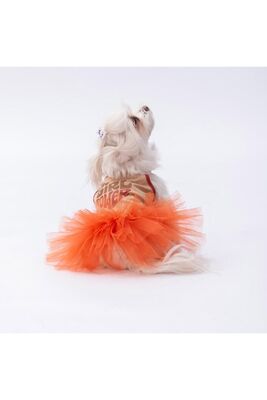 Pawstar - Pawstar Bej Girl Power Kedi Köpek Elbisesi - Kedi Köpek Kıyafeti XL