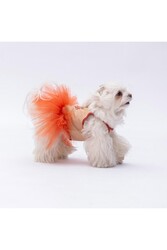 Pawstar Bej Girl Power Kedi Köpek Elbisesi - Kedi Köpek Kıyafeti XL - Thumbnail