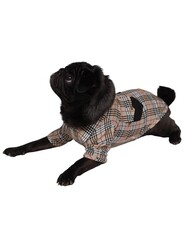 Pawstar Bej Plaid Bej Ekose Kedi Köpek Gömleği Kedi Köpek Kıyafeti 7XL - Thumbnail