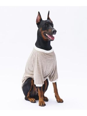 Pawstar - Pawstar Bej Super Paws Büyük Köpek Sweati Köpek Kıyafeti 4XL