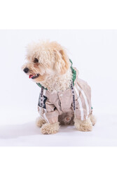Pawstar Bej-yeşil Bicolor Köpek Tulum Yağmurluğu Köpek Yağmurluk Köpek Kıyafeti Köpek Elbisesi - XL - Thumbnail
