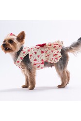 Pawstar Berry Crush Meyve Desenli Kedi Köpek Elbisesi - Kedi Köpek Kıyafeti L - Thumbnail