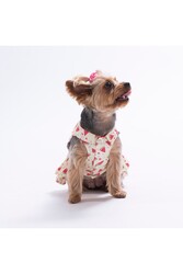 Pawstar Berry Crush Meyve Desenli Kedi Köpek Elbisesi - Kedi Köpek Kıyafeti M - Thumbnail