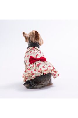 Pawstar - Pawstar Berry Crush Meyve Desenli Kedi Köpek Elbisesi - Kedi Köpek Kıyafeti XL